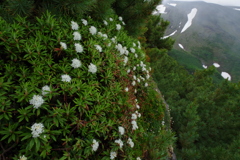 岩壁