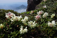 噴煙に霞む山