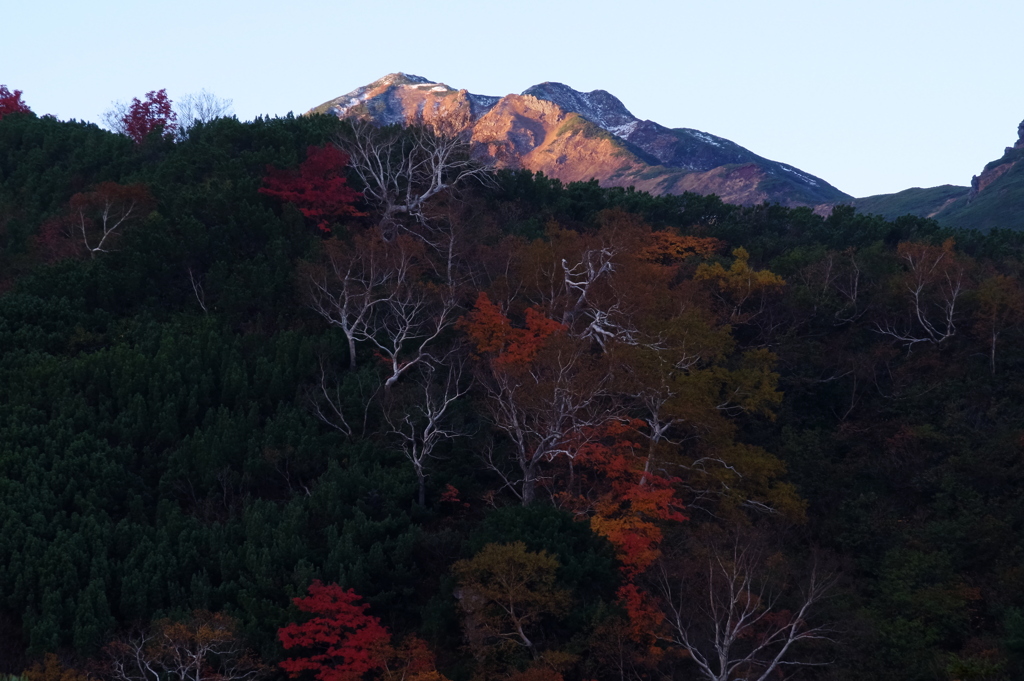まだ秋