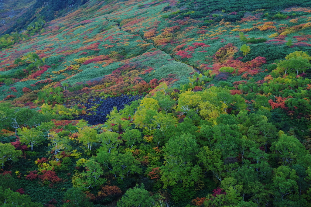 登山道