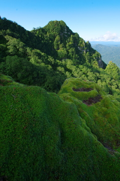 緑の山