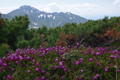 短い夏