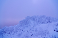 薄ピンクの時間