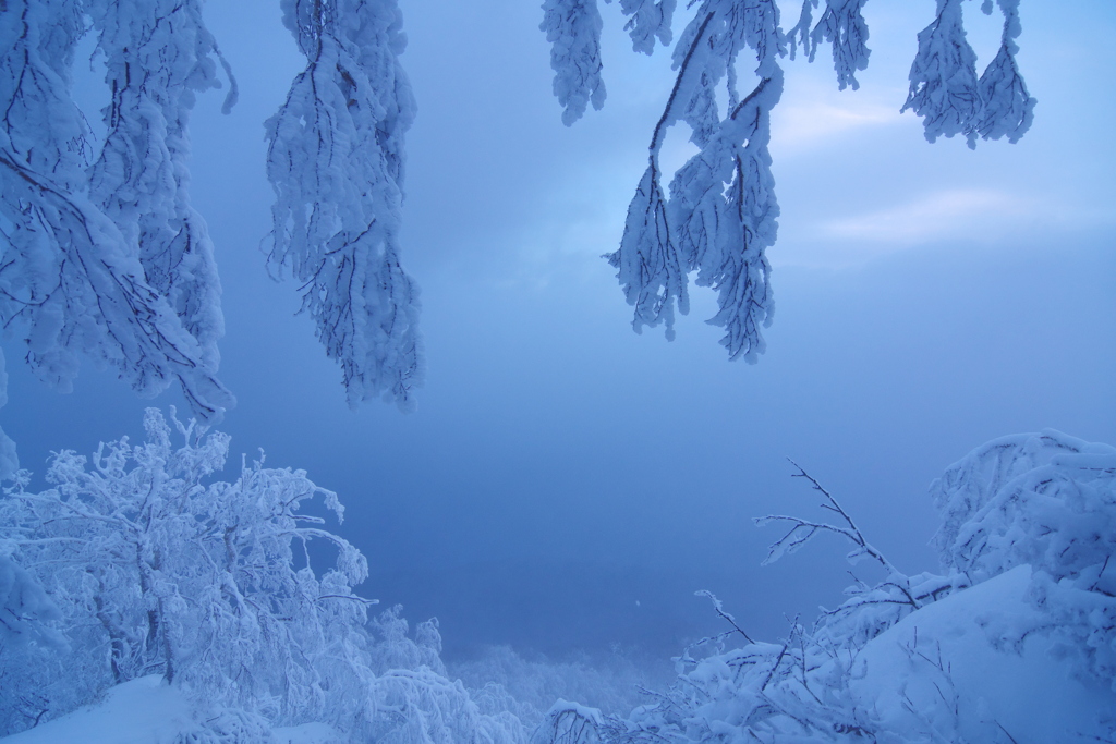 樹氷の谷