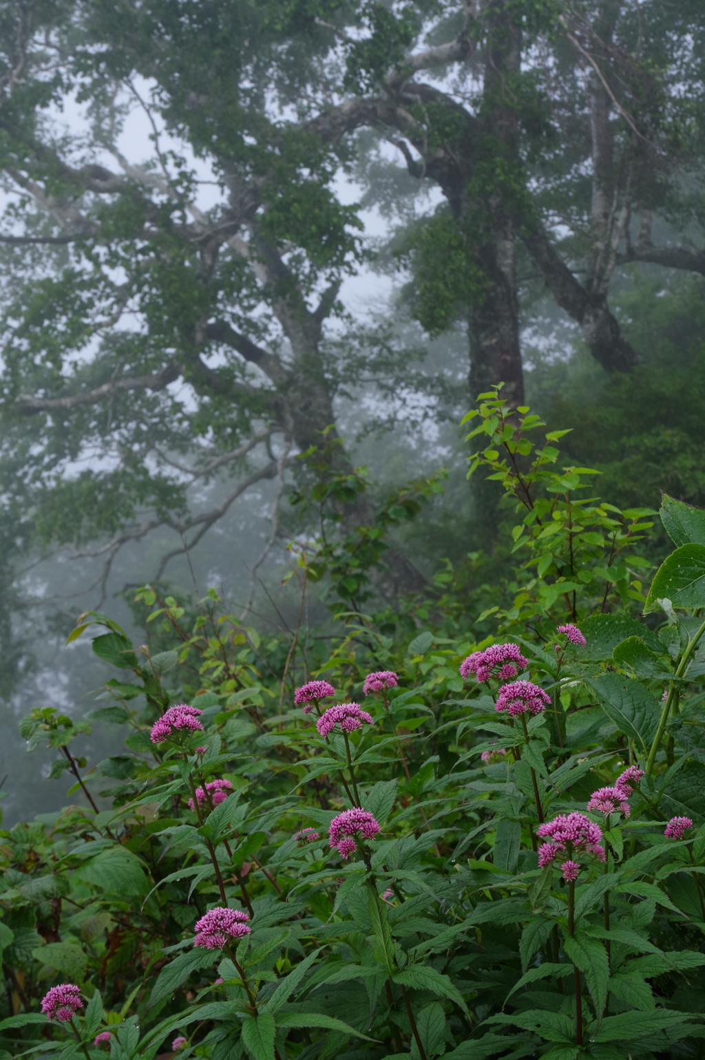 風雨の休息