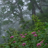 風雨の休息