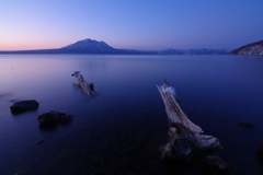 朝の光