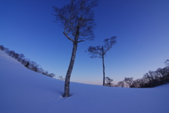 青い空