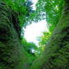 苔の双門