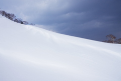 雪原