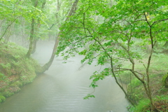 雨の霧