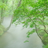雨の霧