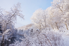 雪の日の朝