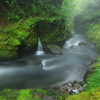 苔むす川