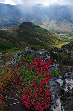 冬へ向かう山