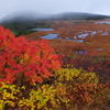 紅葉の沼