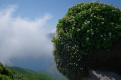 湖を隠して