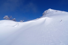 光る雪