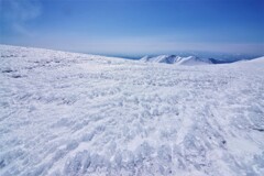 トゲ雪野原