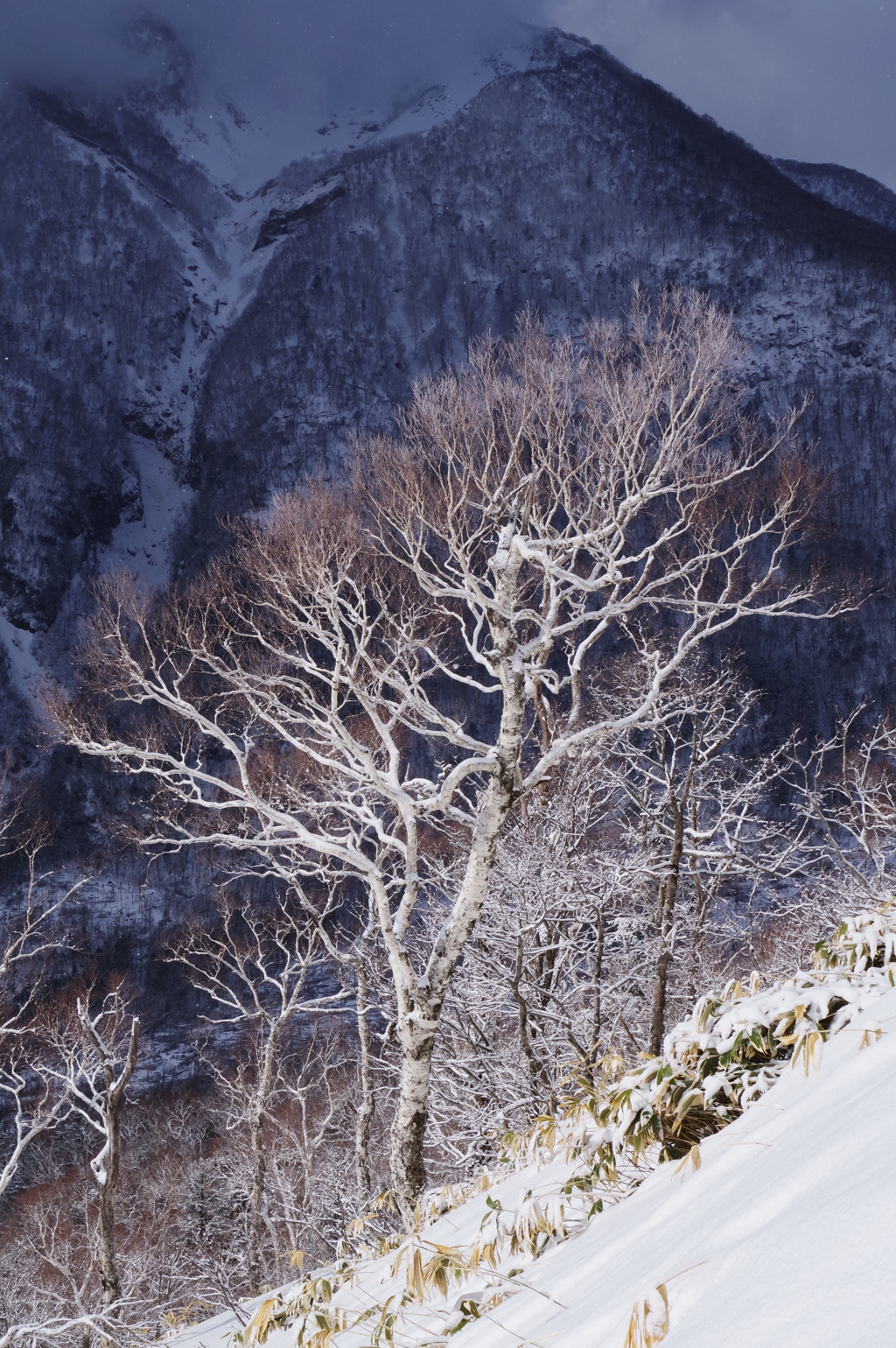 スポットライト