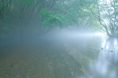 小雨の朝