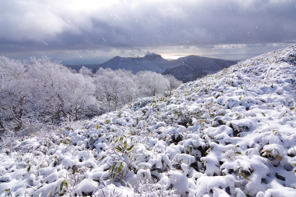 霧氷の雪