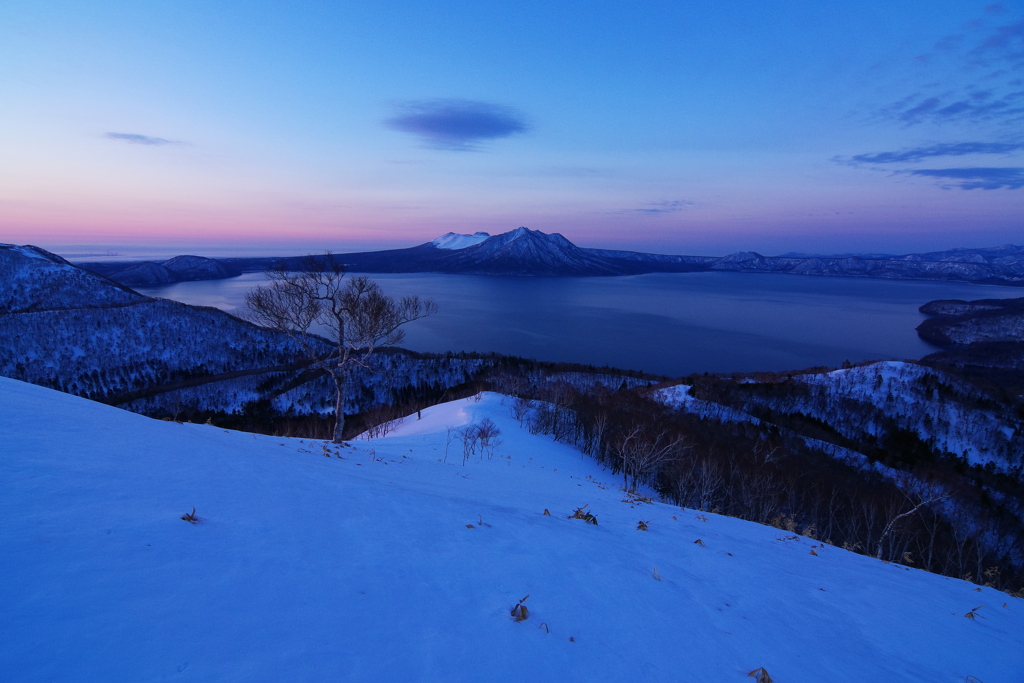 湖と木