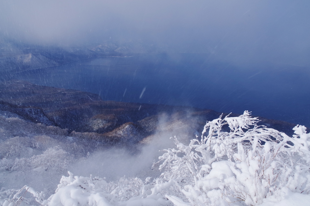 舞い上がる雪