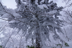 耐え抜く