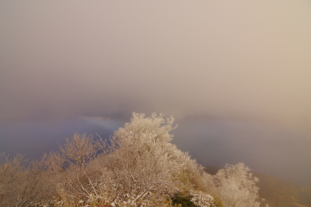 霧氷の尾根