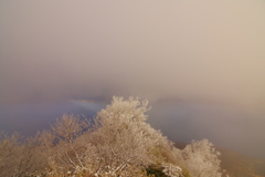 霧氷の尾根