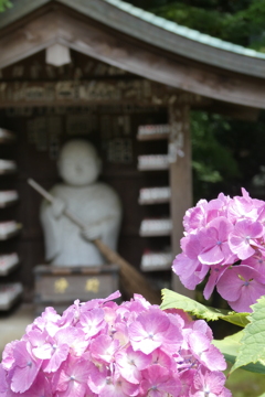 本土寺お地蔵様