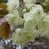 P1190785