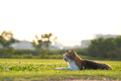 今だけは