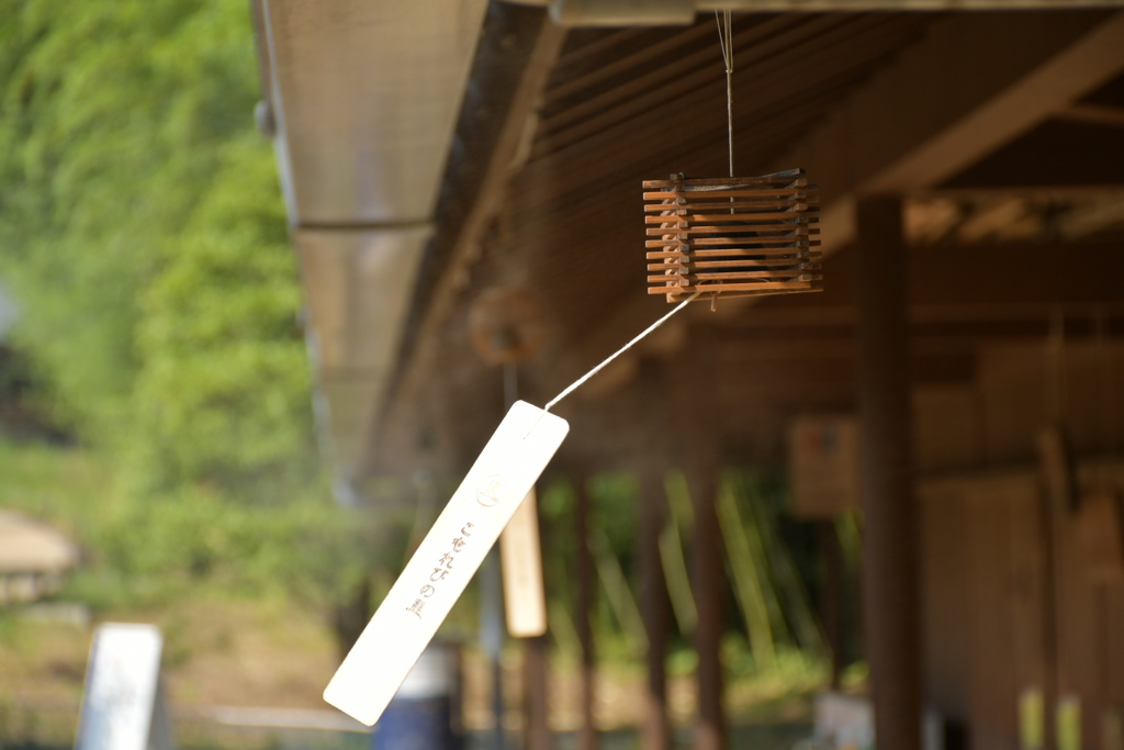 夏といえば、、