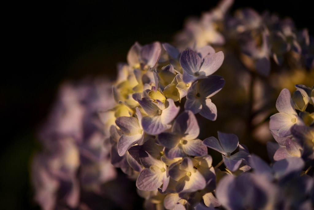 56647EE0-5D07-4C4D-8047-1A2F1DE74993