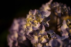 56647EE0-5D07-4C4D-8047-1A2F1DE74993