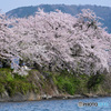 海津大崎　その２