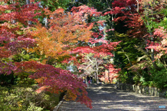 光明寺　その１