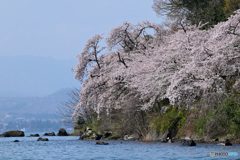 海津大崎　その３