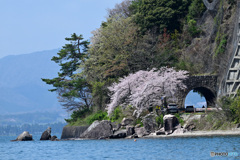 海津大崎　その５