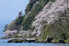 海津大崎　その４