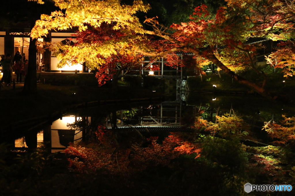 秋の高台寺