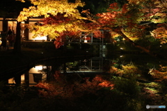 秋の高台寺