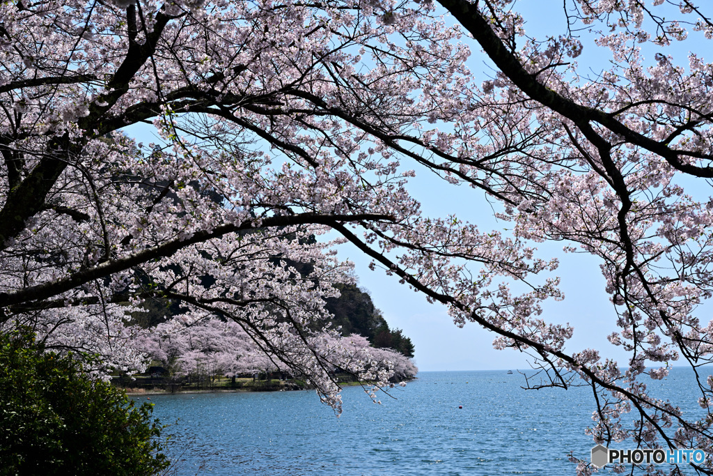 海津大崎　その７