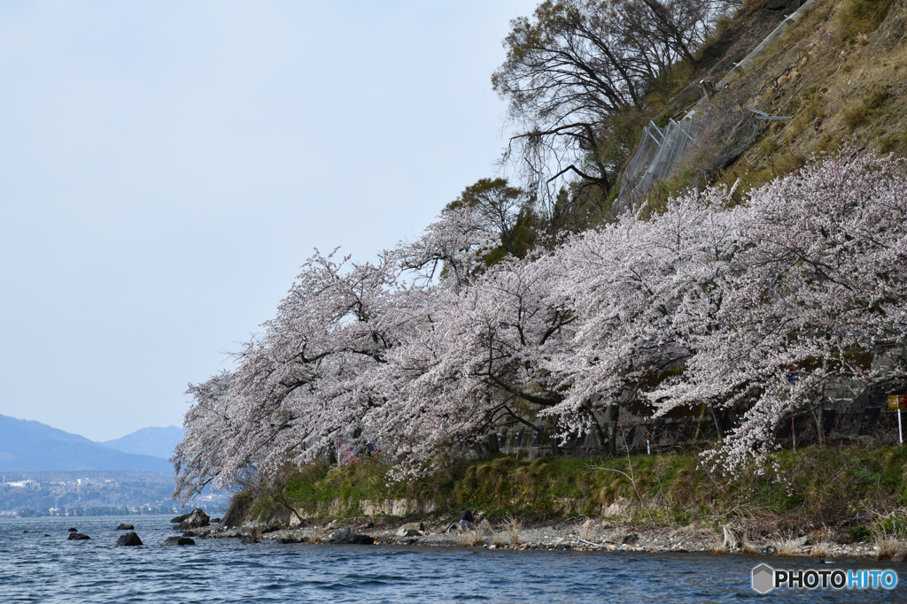 海津大崎～その１