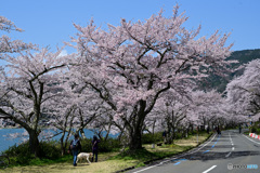 海津大崎　その８