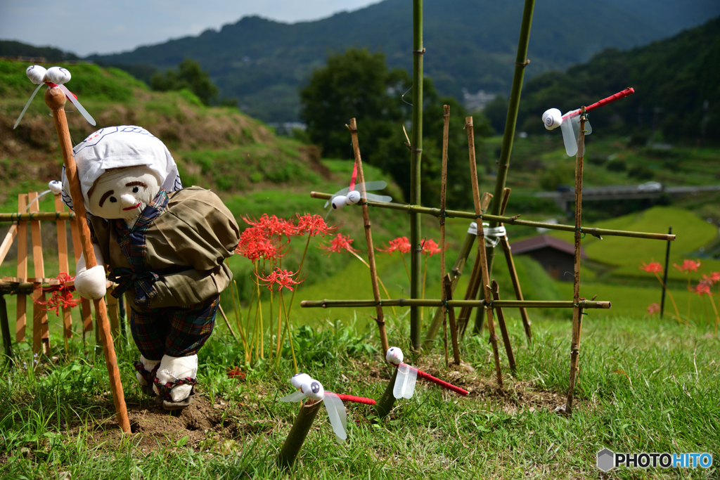 明日香村～案山子ロード