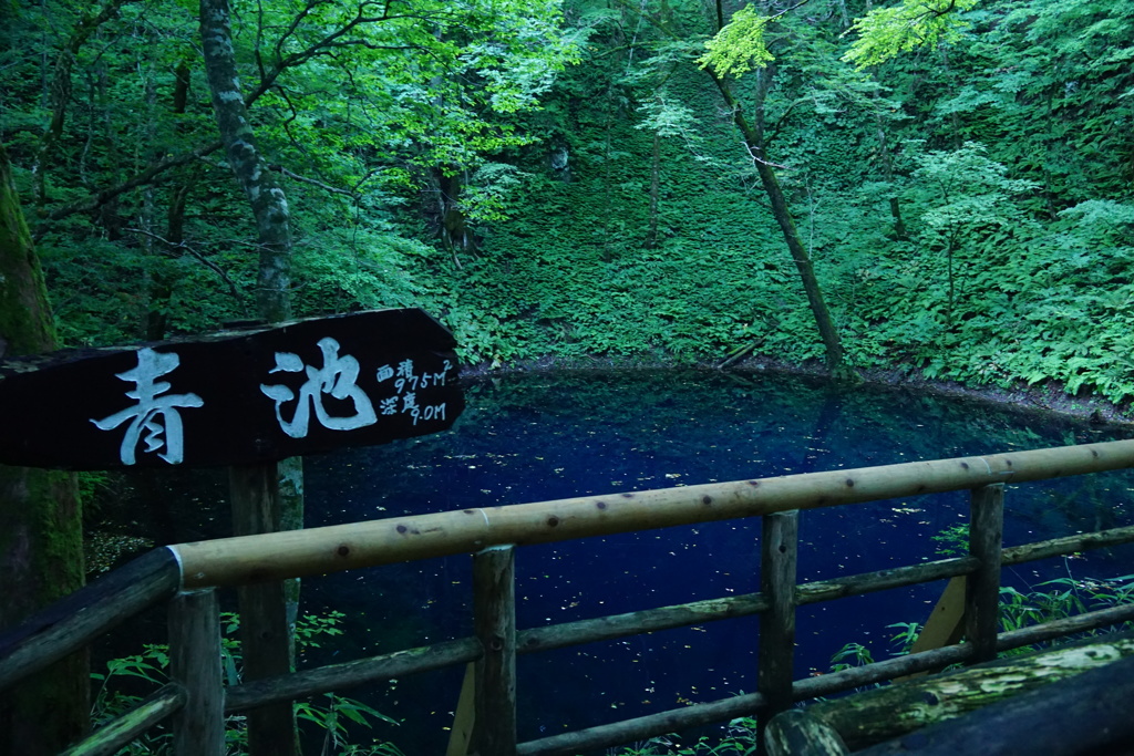 青池