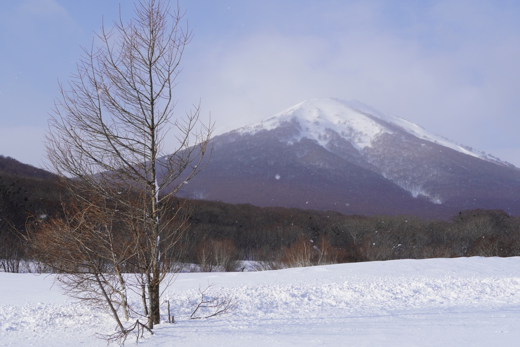 雪景色